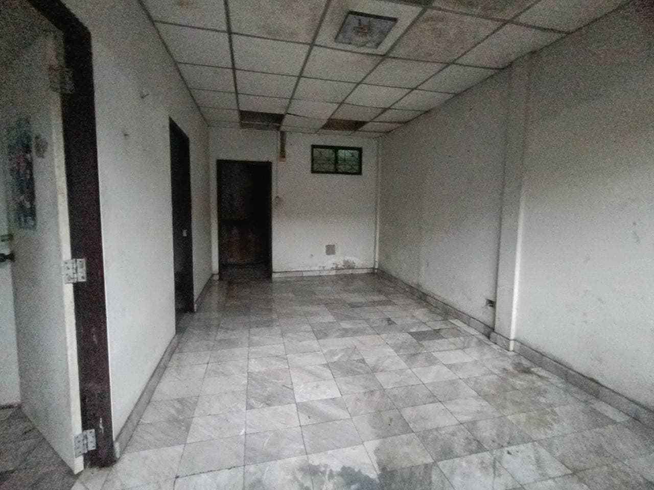 218560.jpg