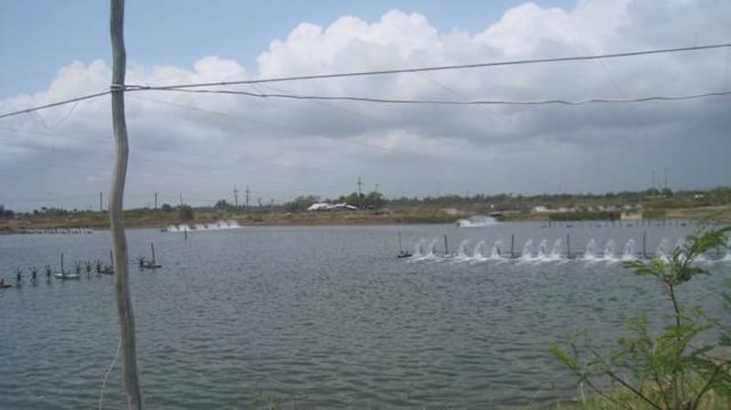 full_20110317134253.jpeg