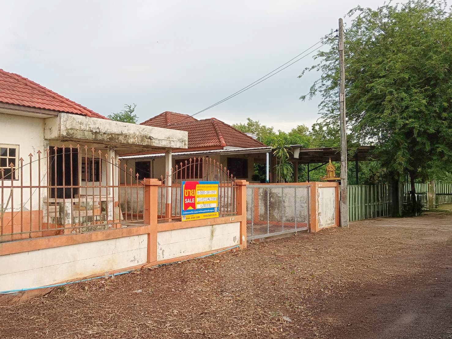 ddc1ebb0-66555-0.jpg