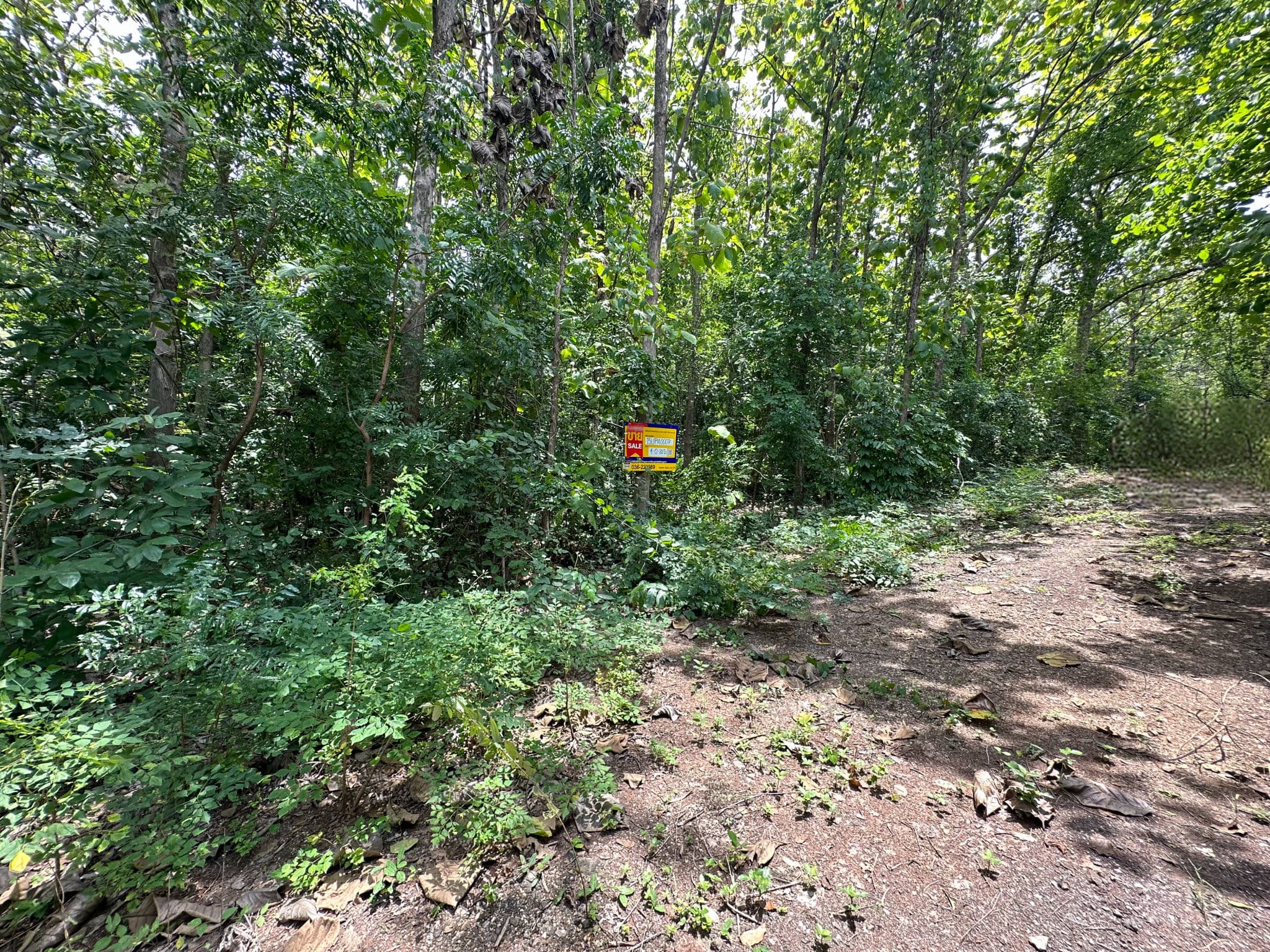 2c1b8d6b-IMG_5968.jpg