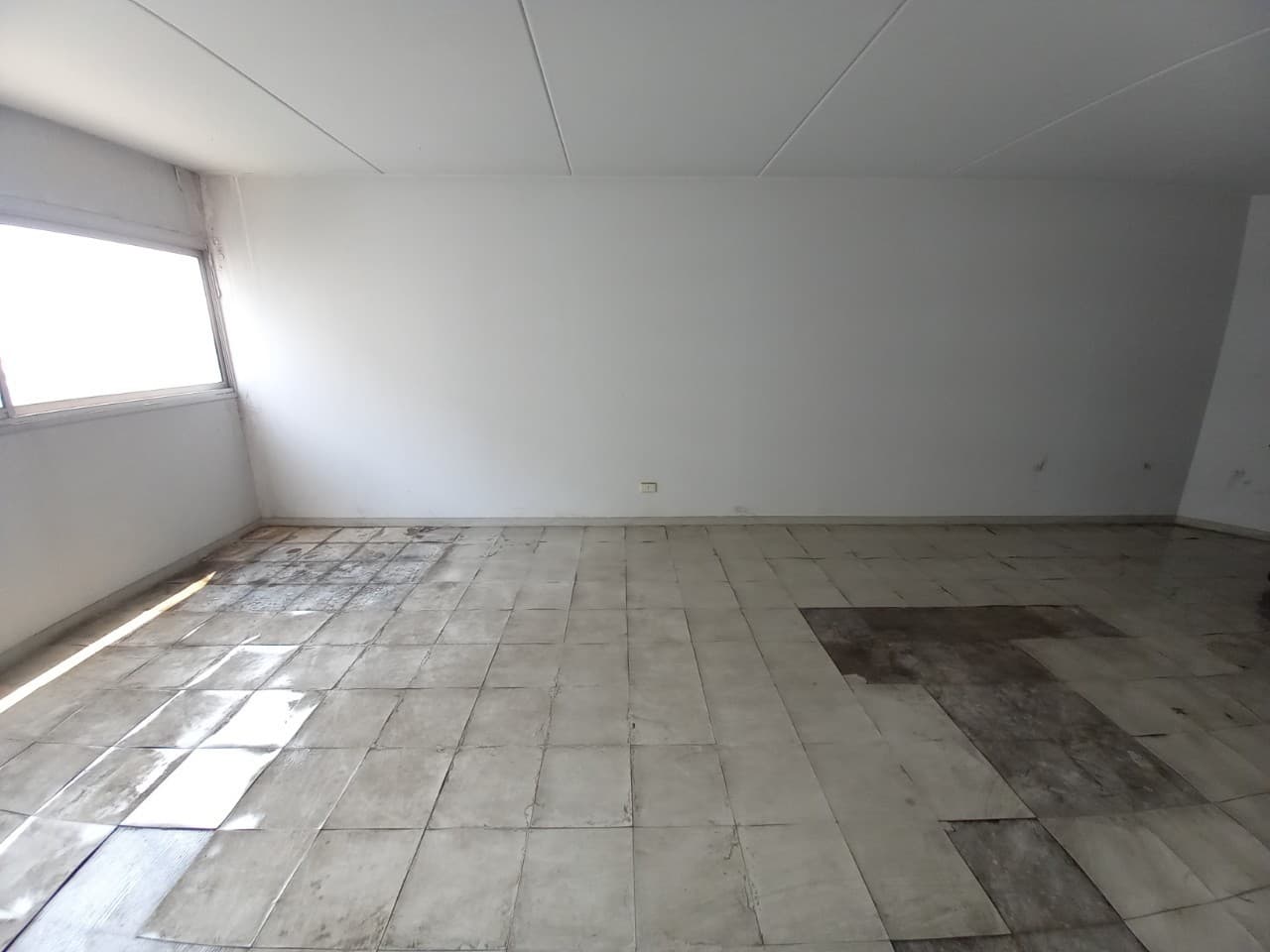 1695092991763.jpg