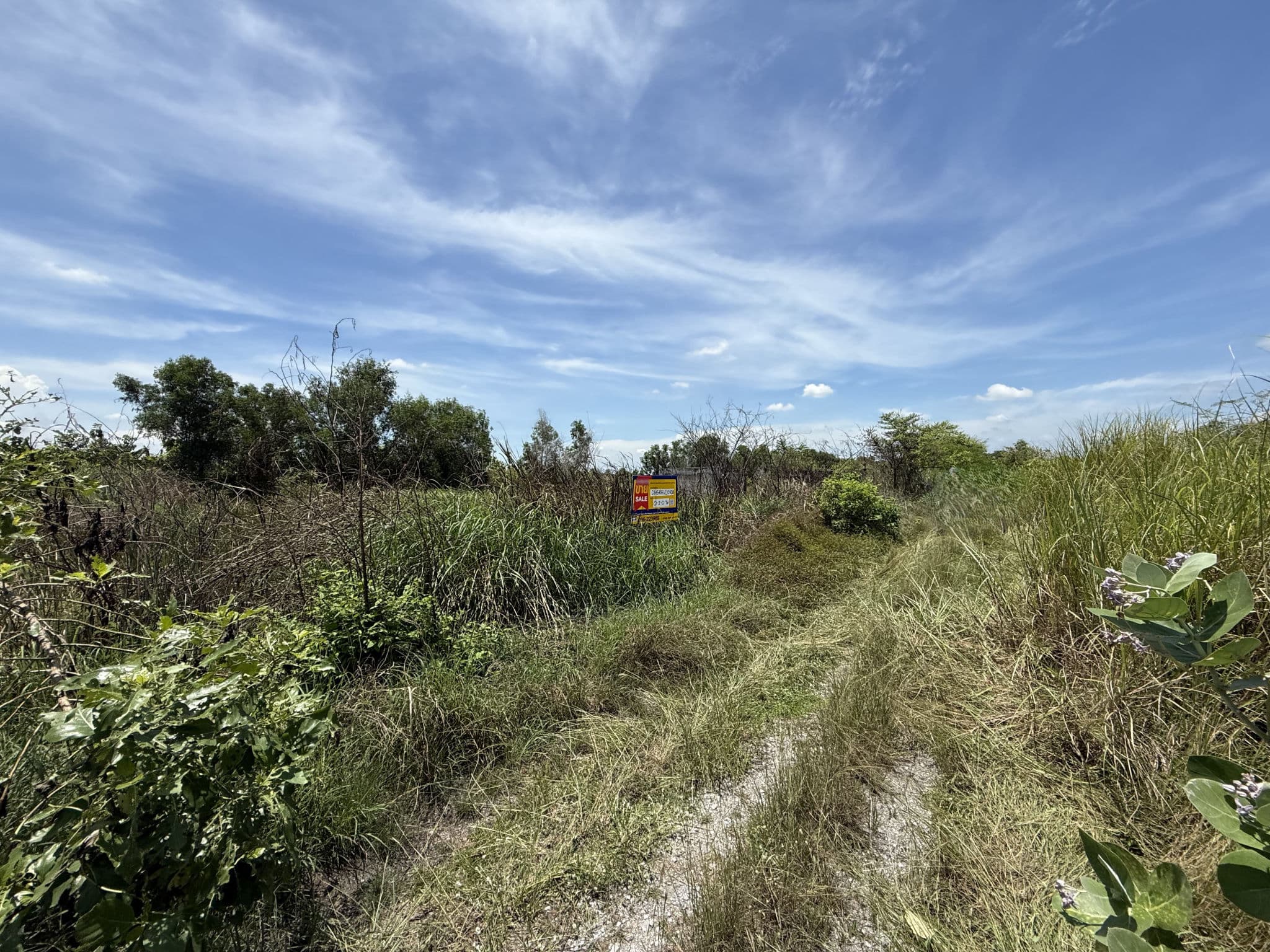 d2f98962-45854-1.jpg