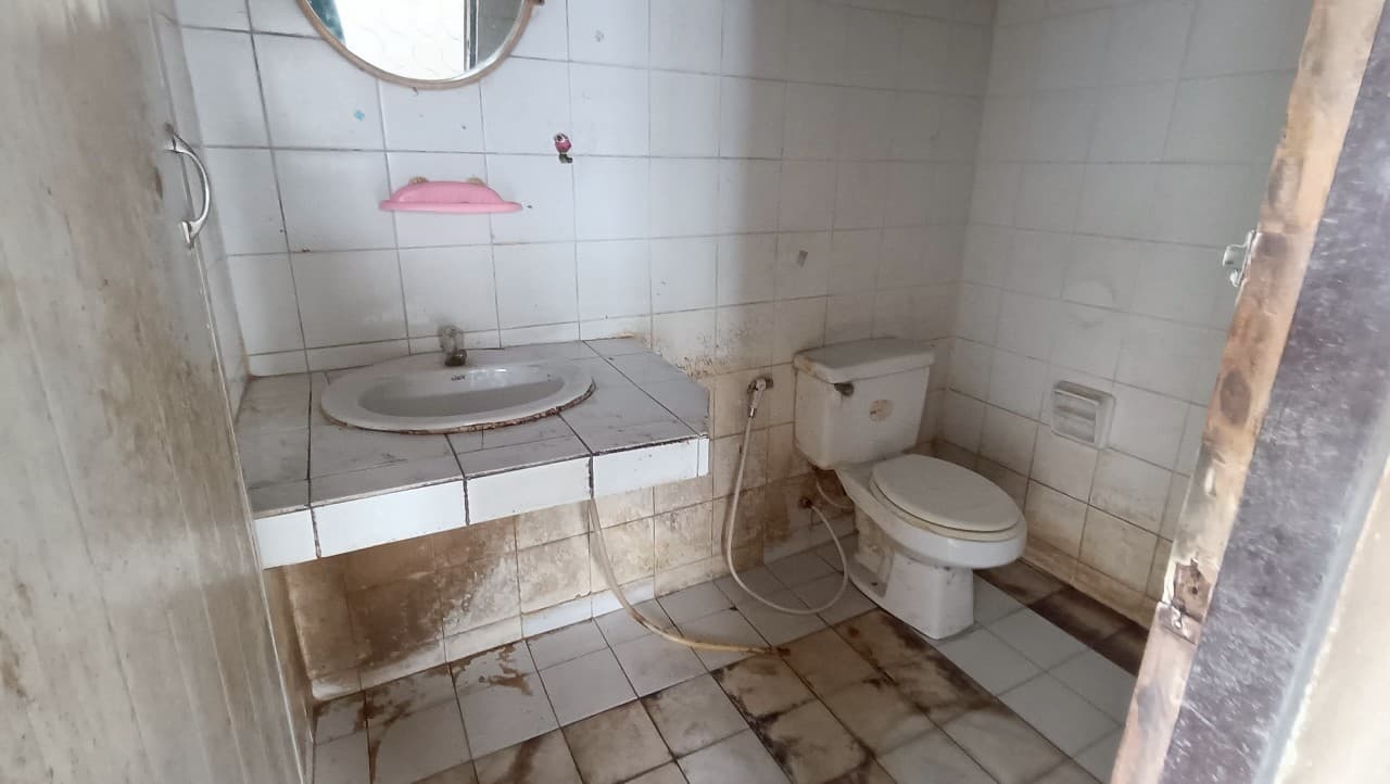 1750043903516.jpg