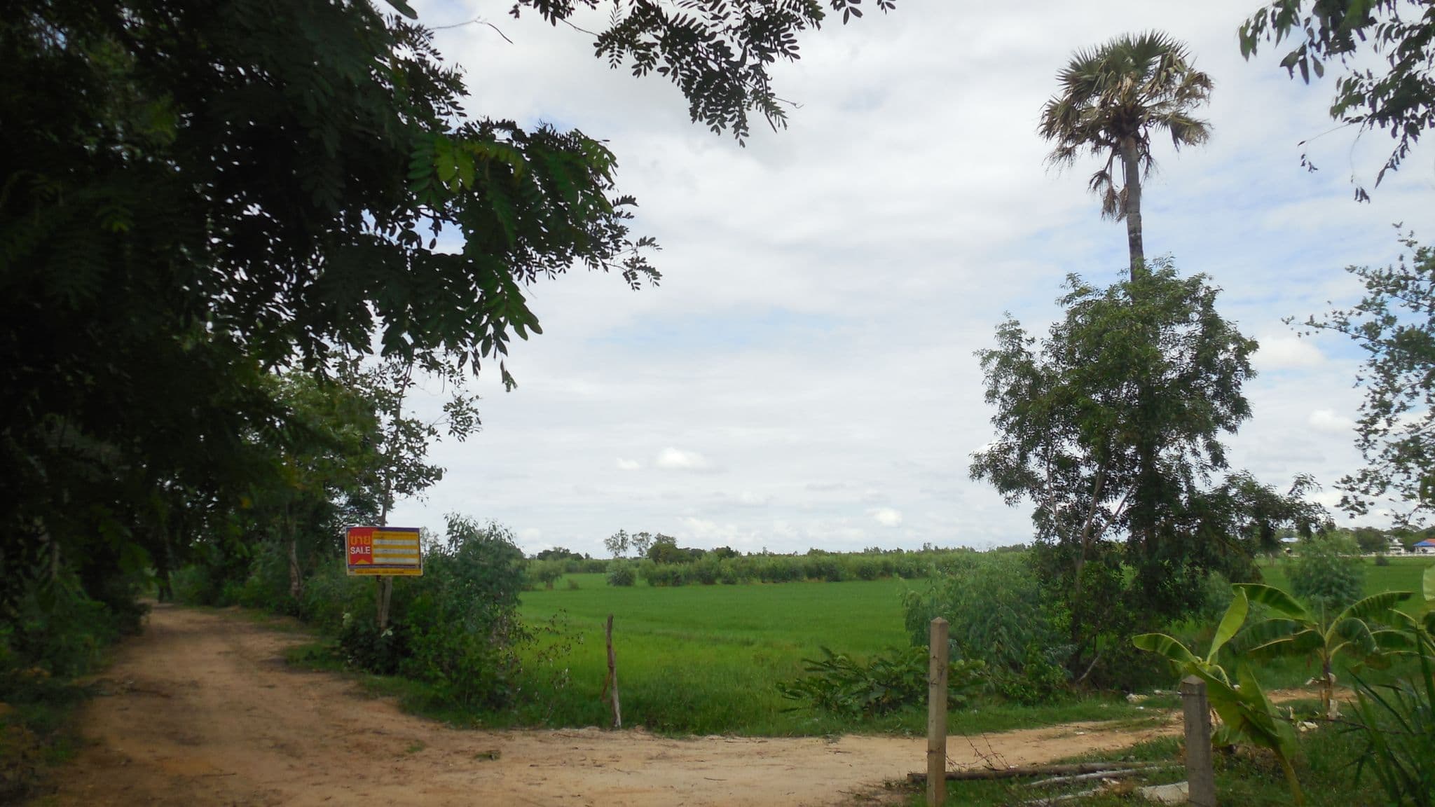 DSCN7821.JPG