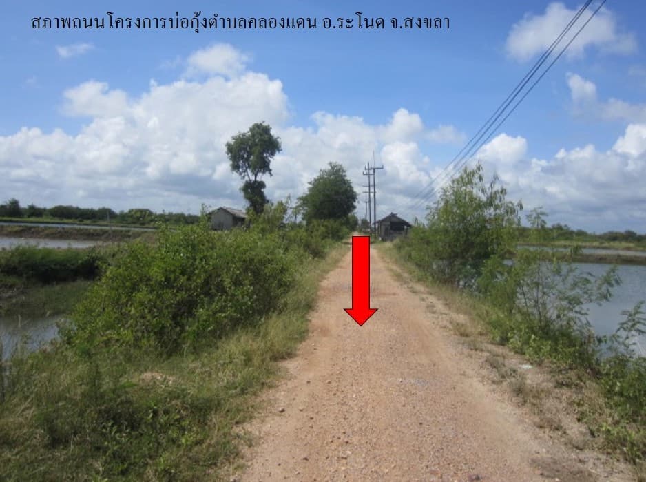 full_20200204092249.jpg