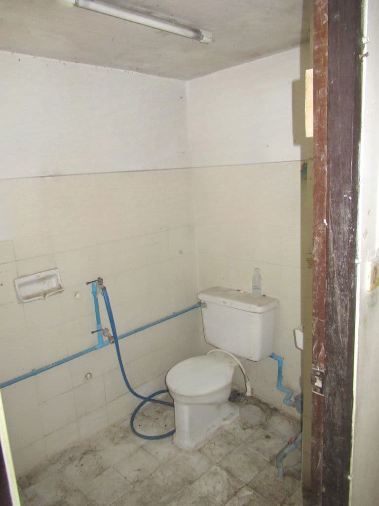 image (11).png