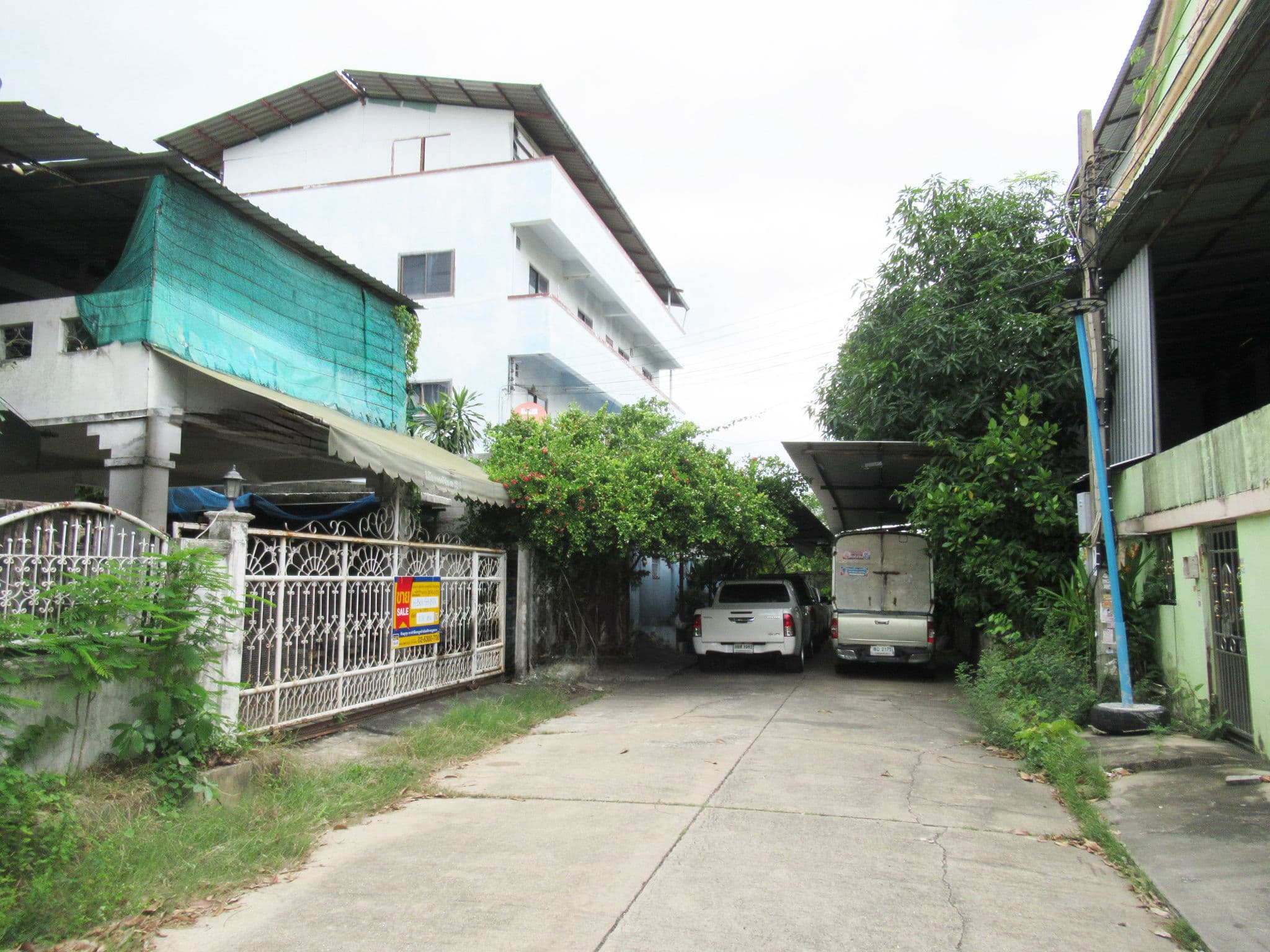 0390989e-64977-0.jpg