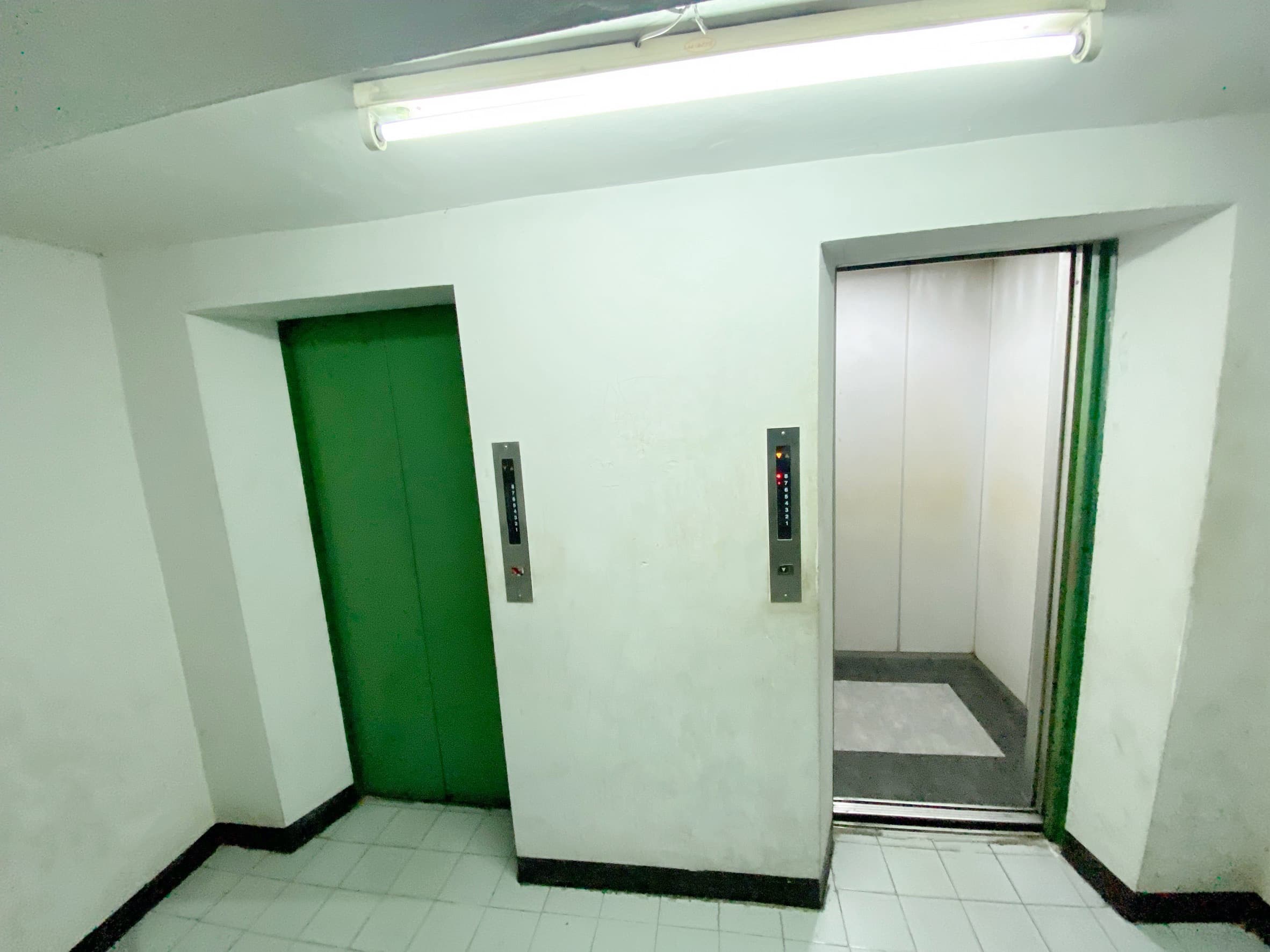 S__54820886.jpg