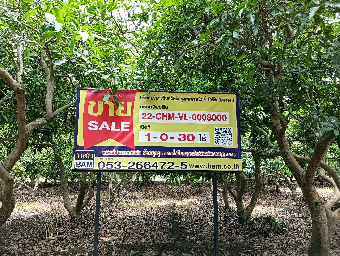 ASSET_SALE_BANNER.jpg