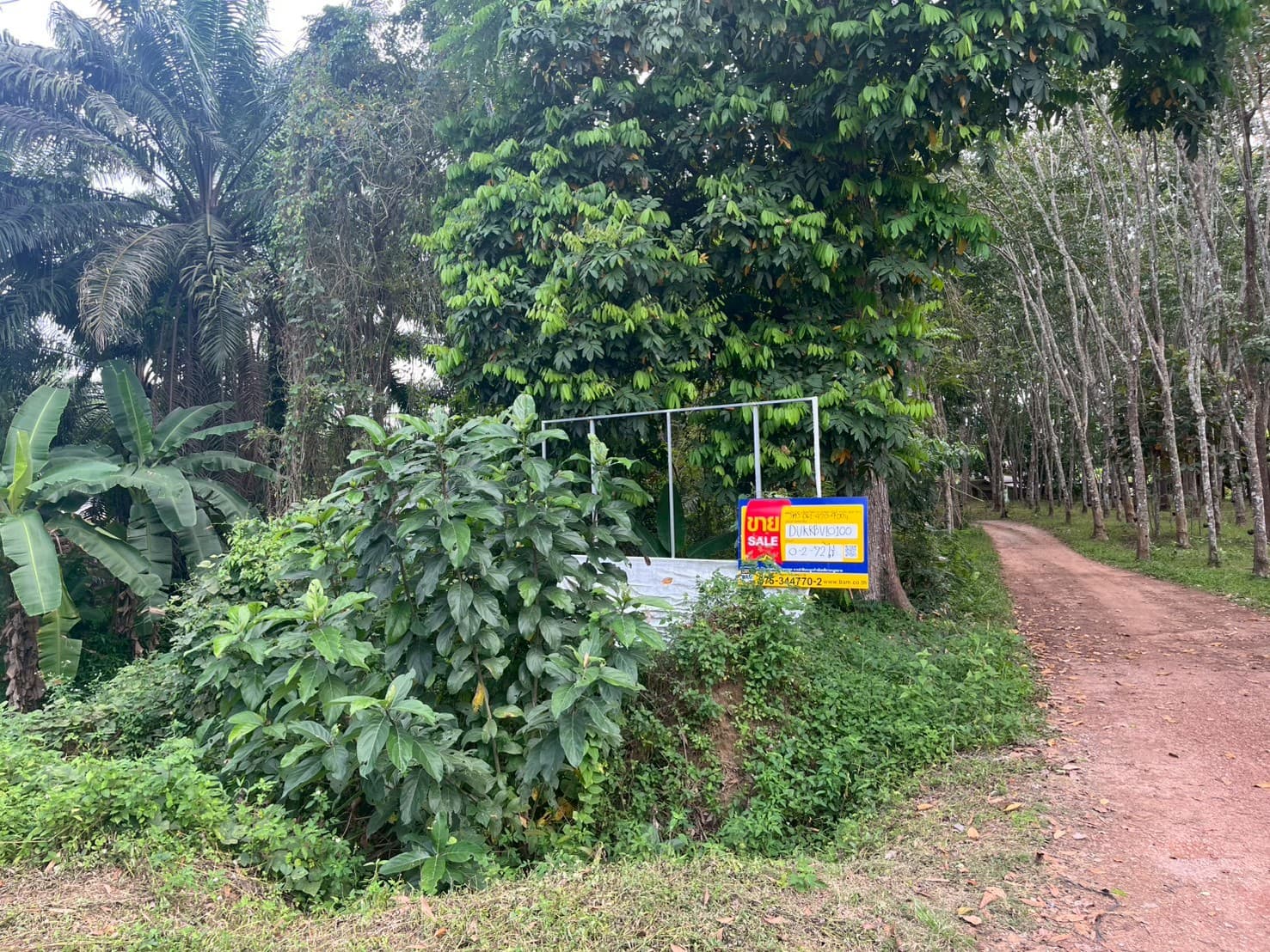 LINE_ALBUM_2112569 BE_260121_110.jpg