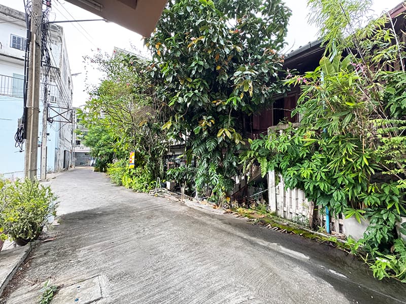 d53116e7-37400-3.jpg