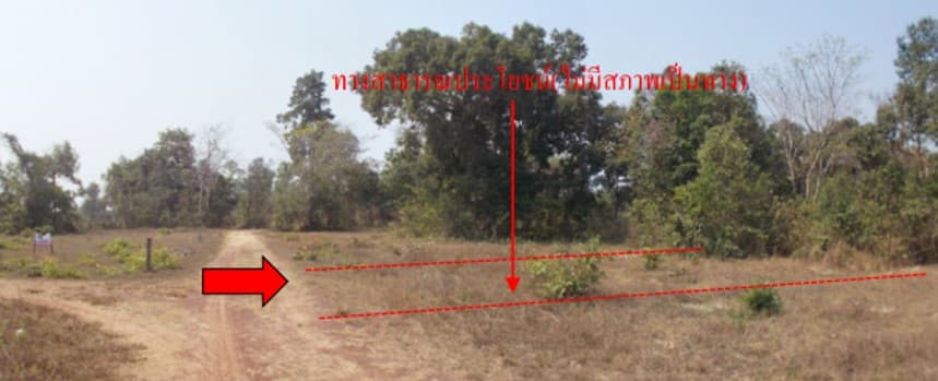 Picture24.jpg