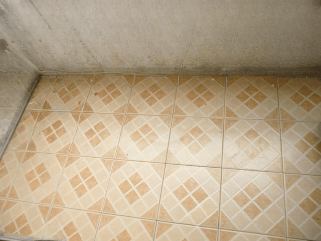 image (17).png