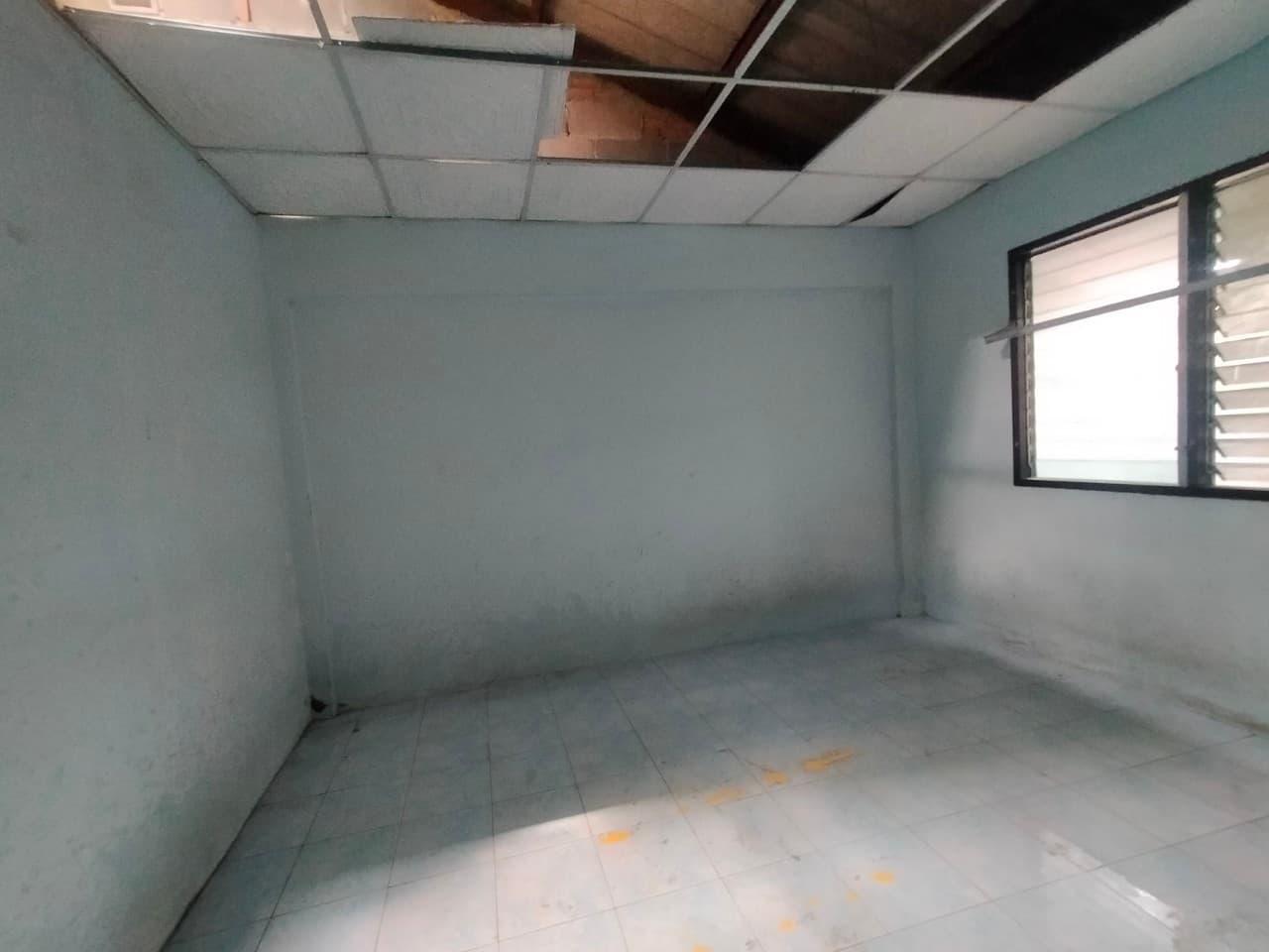 2988504e-line_96452274884363.jpg