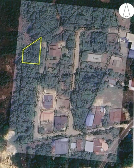 Picture7.jpg