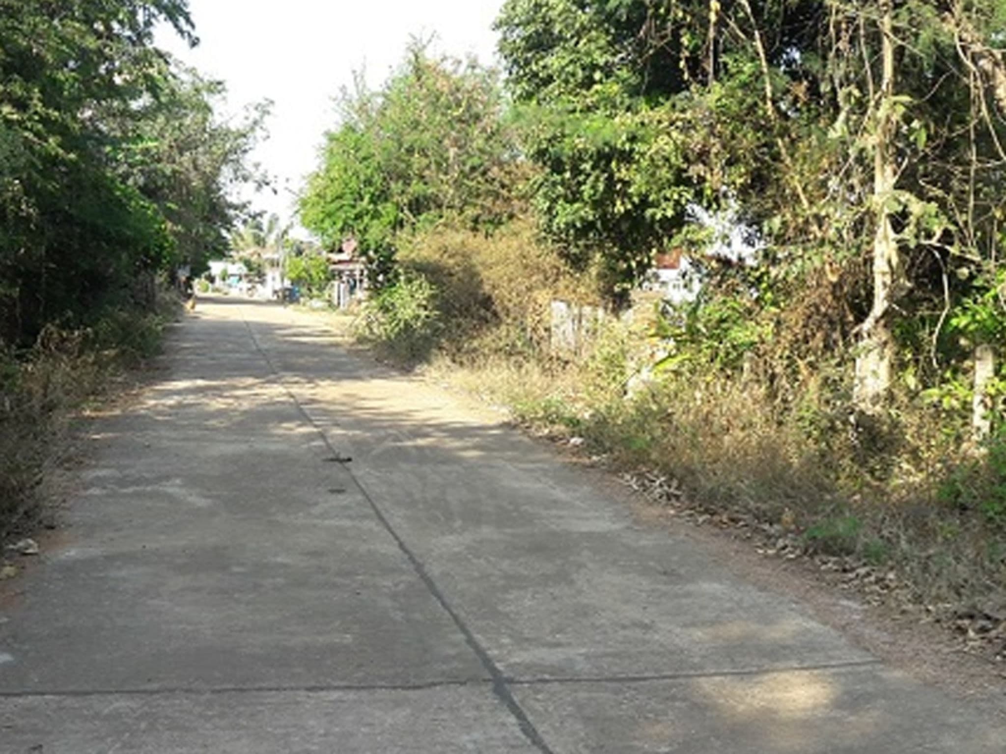 image (20).png