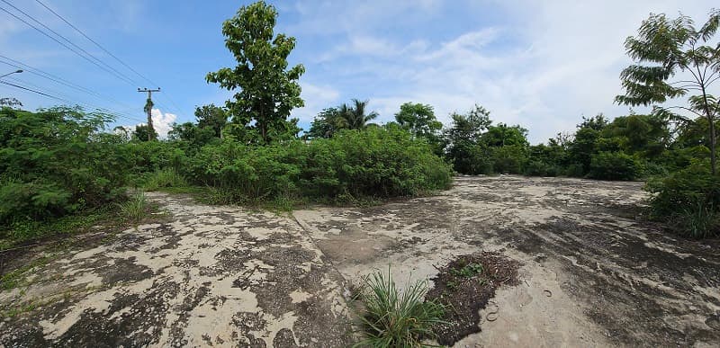 b1c44774-149988-3.jpg
