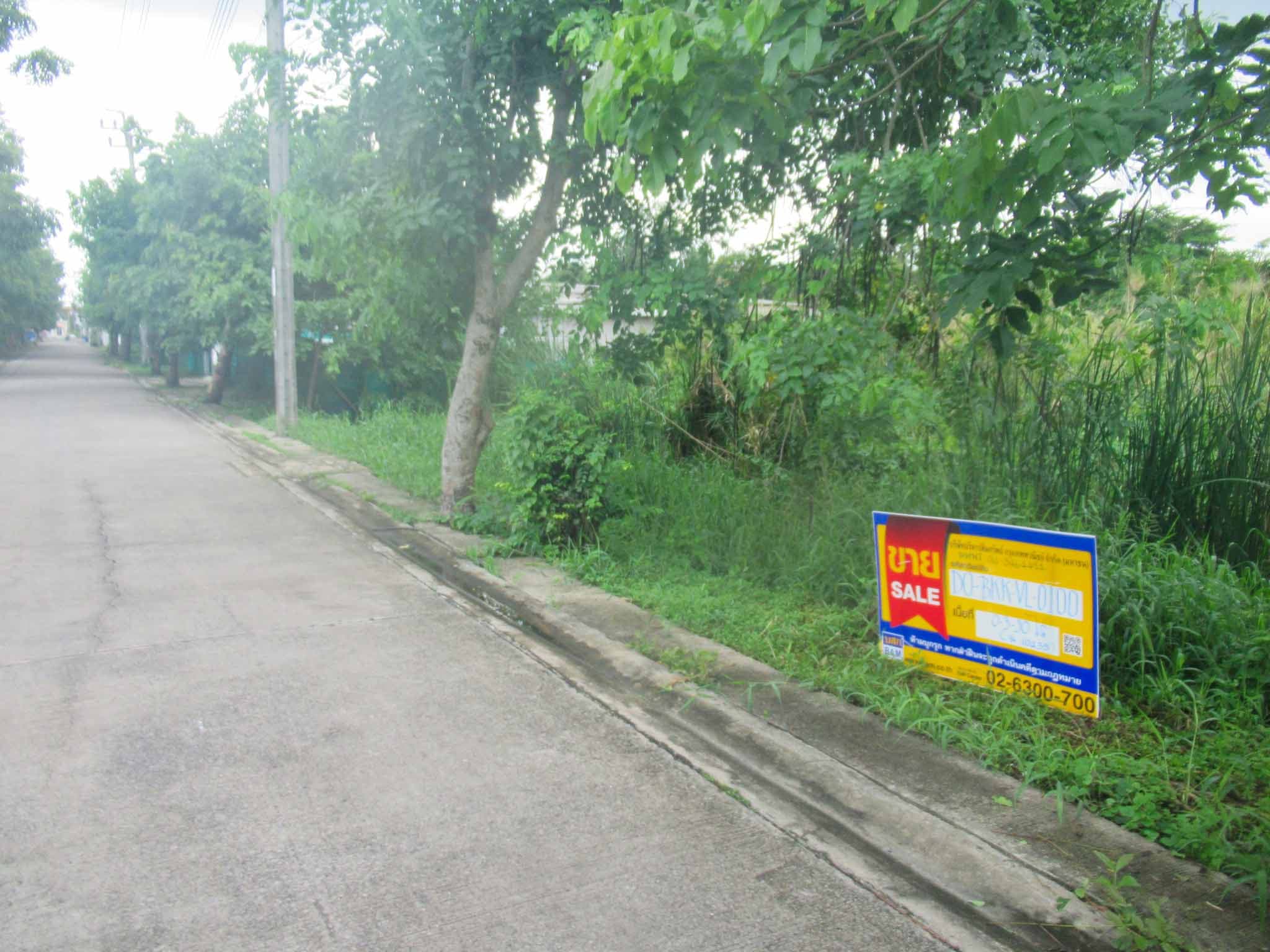 5099602f-148644-0.jpg