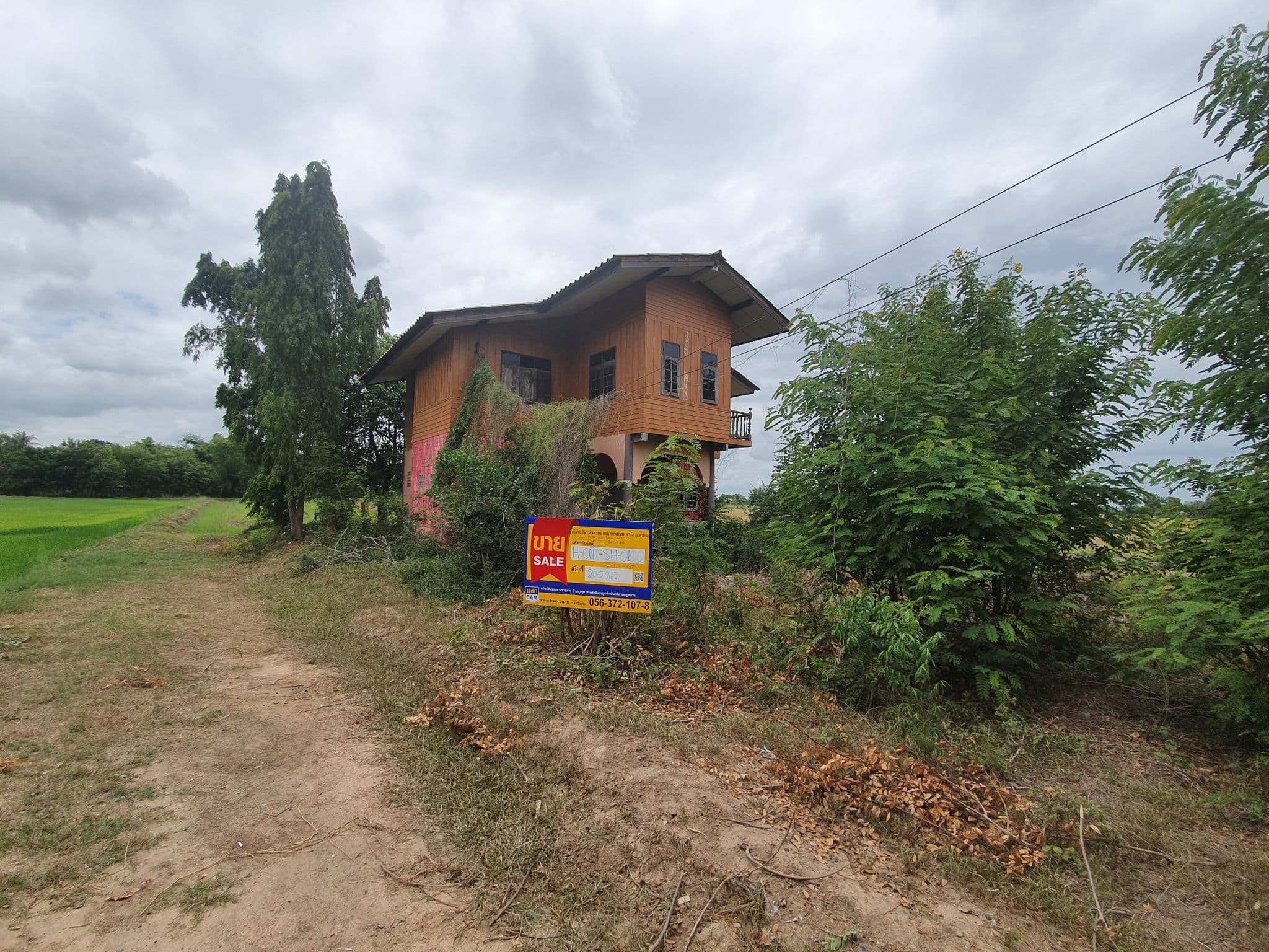 20190808_114607.jpg