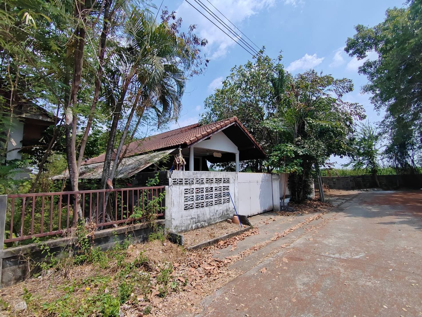 S__61030450.jpg