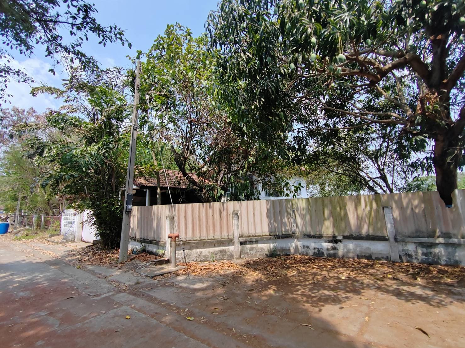 S__61030451.jpg