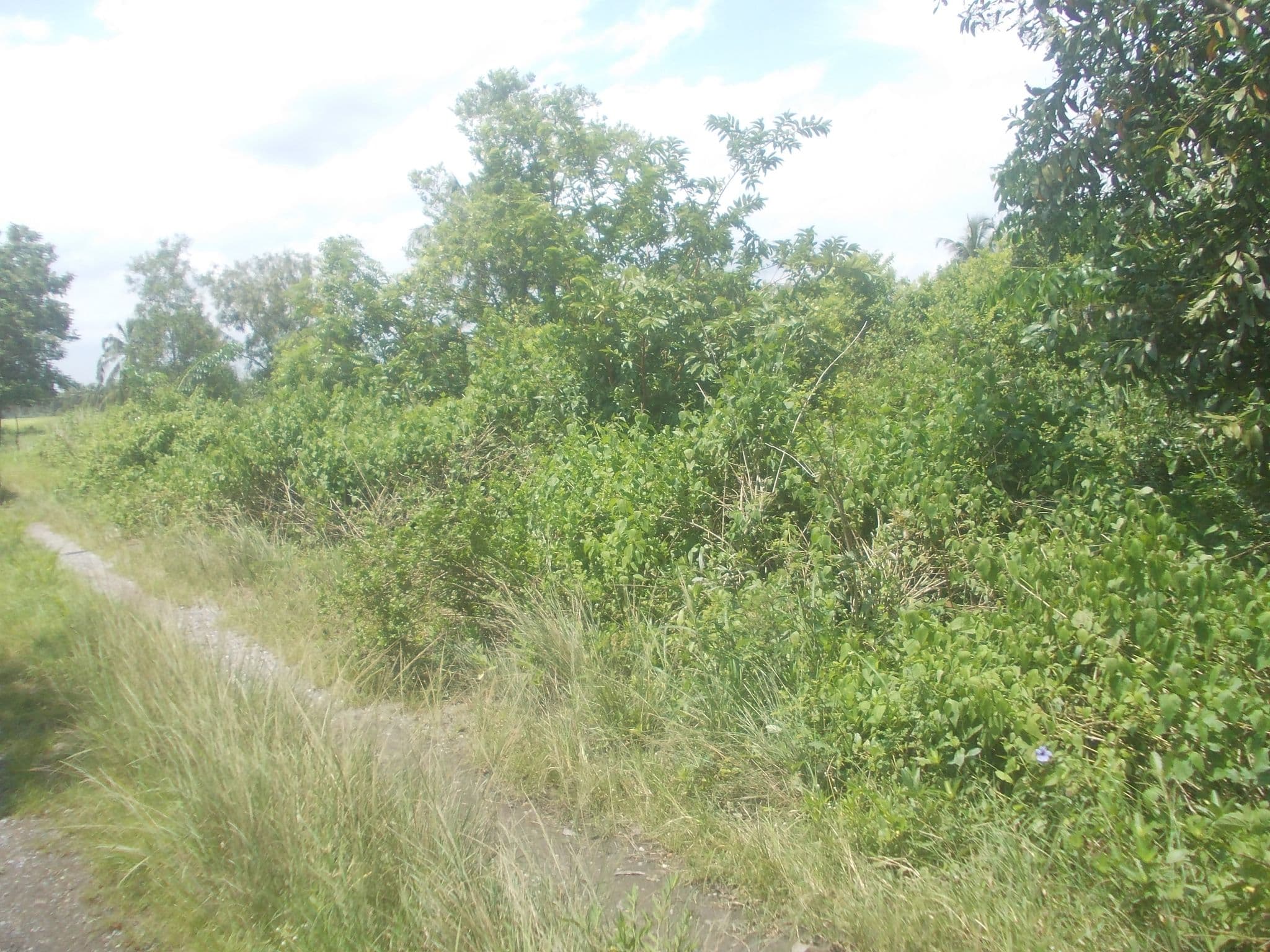 DSCN2193.JPG