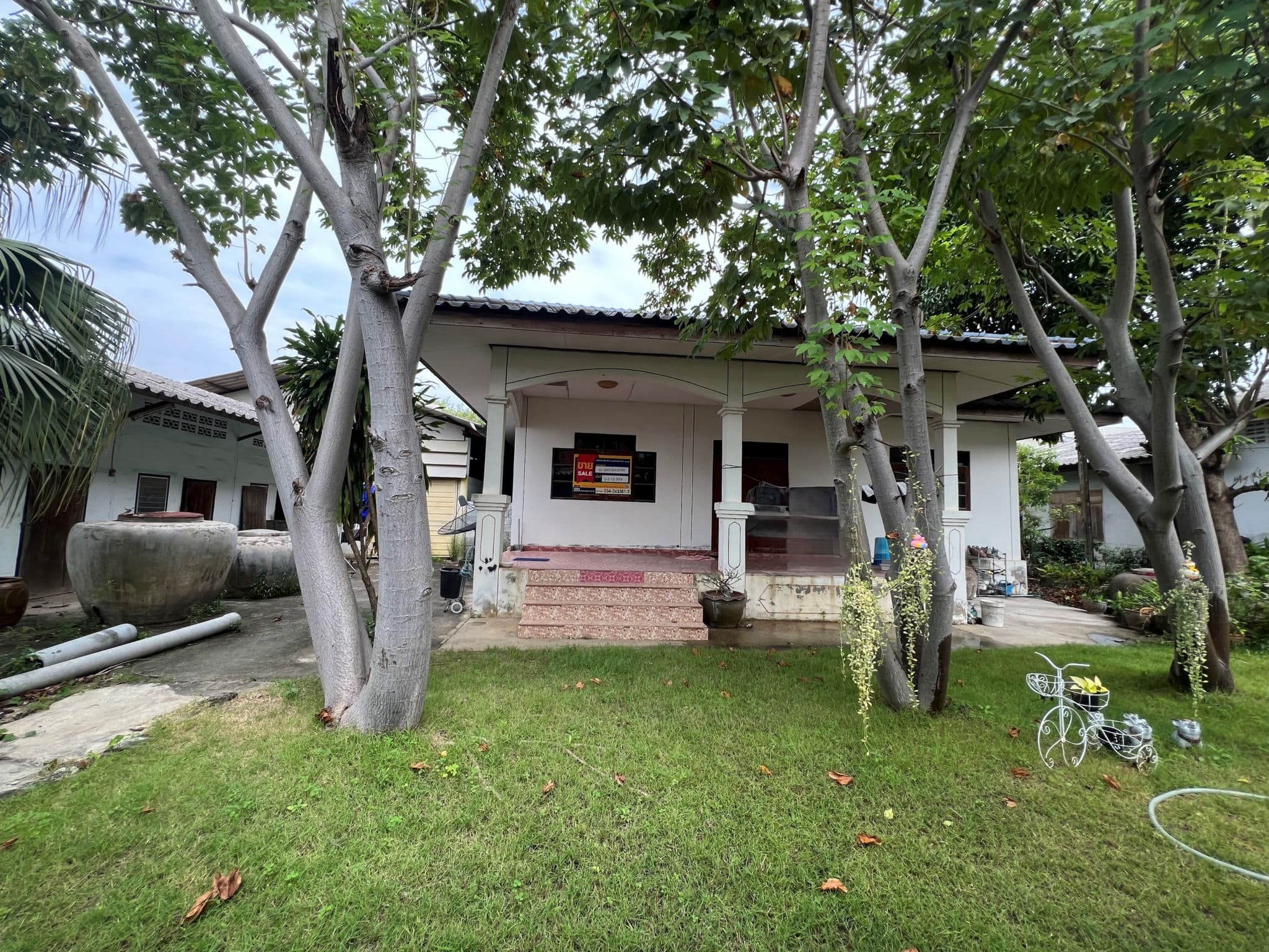 190d64a1-48531-0.jpg