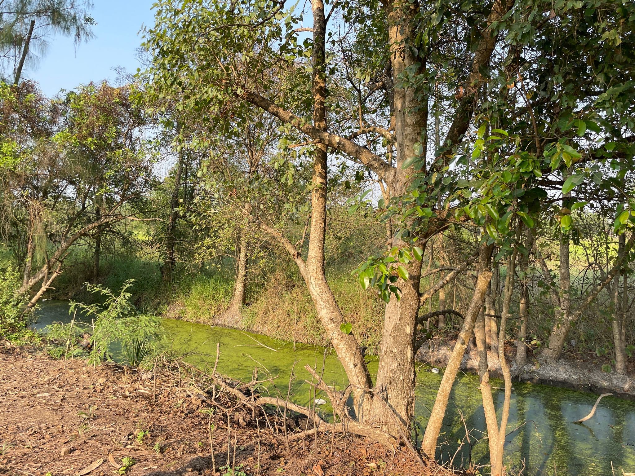 IMG_3319.JPG