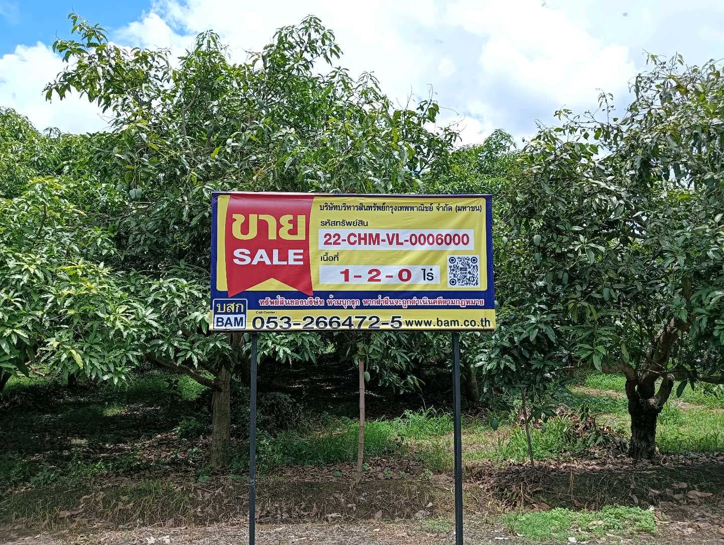 ASSET_SALE_BANNER.jpg