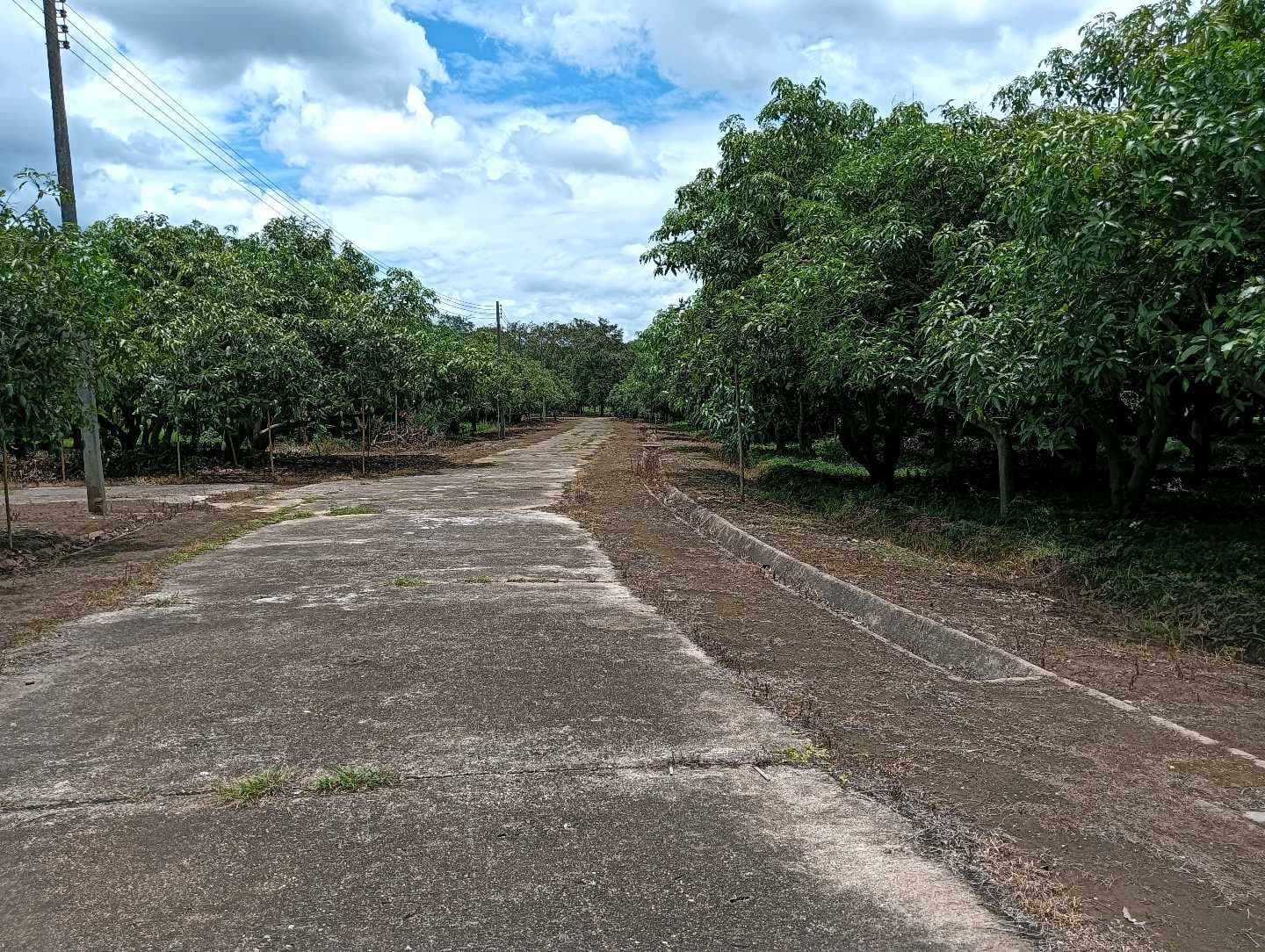 ROAD_FRONT_LEFT.jpg