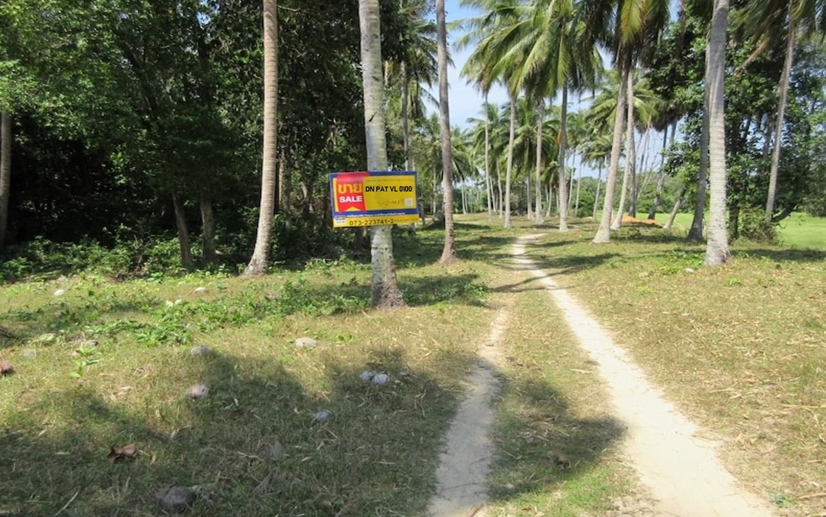 DN0100.jpg