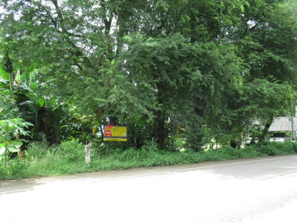 Picture2.jpg