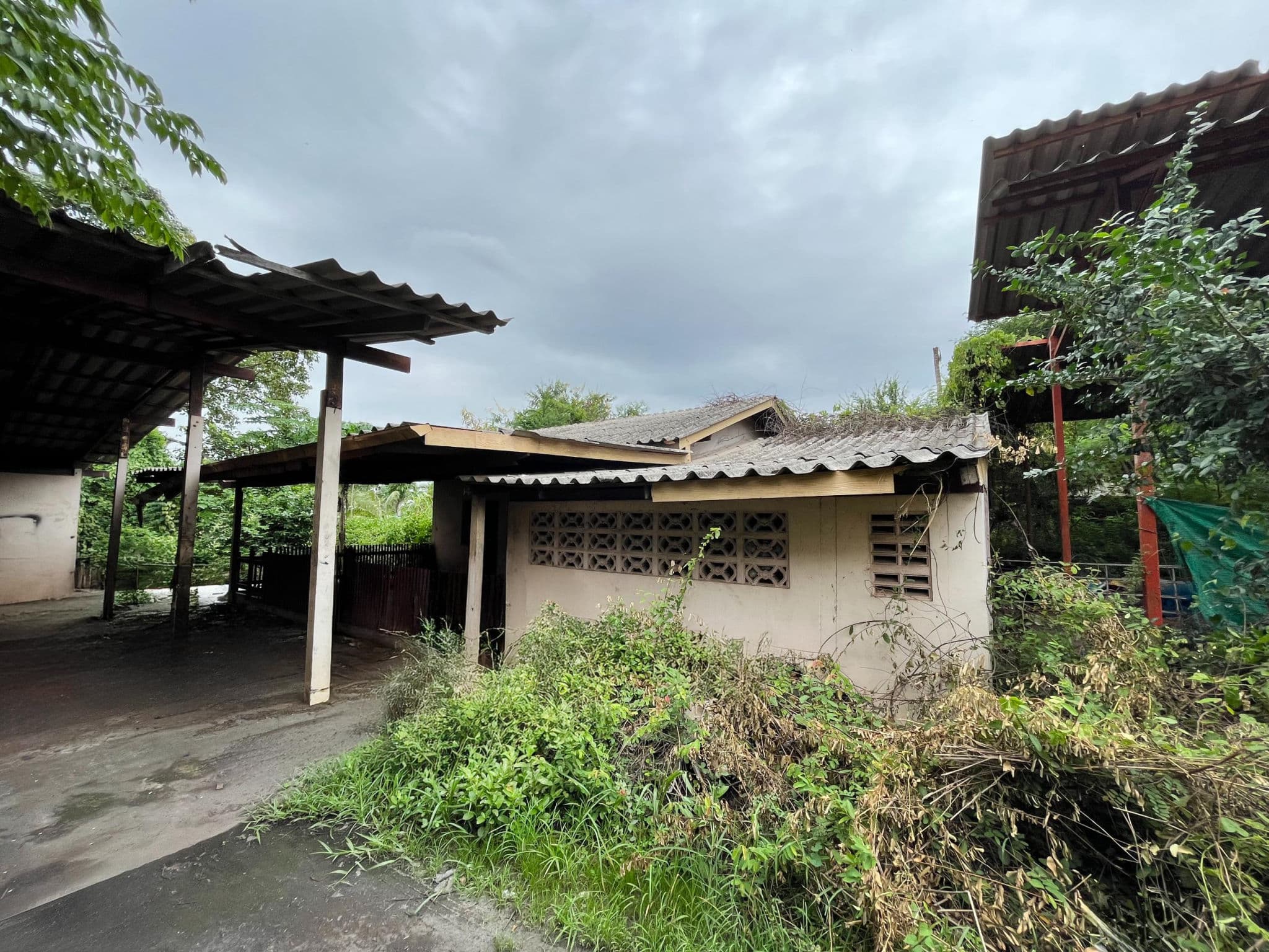 f6742f21-56132-1.jpg