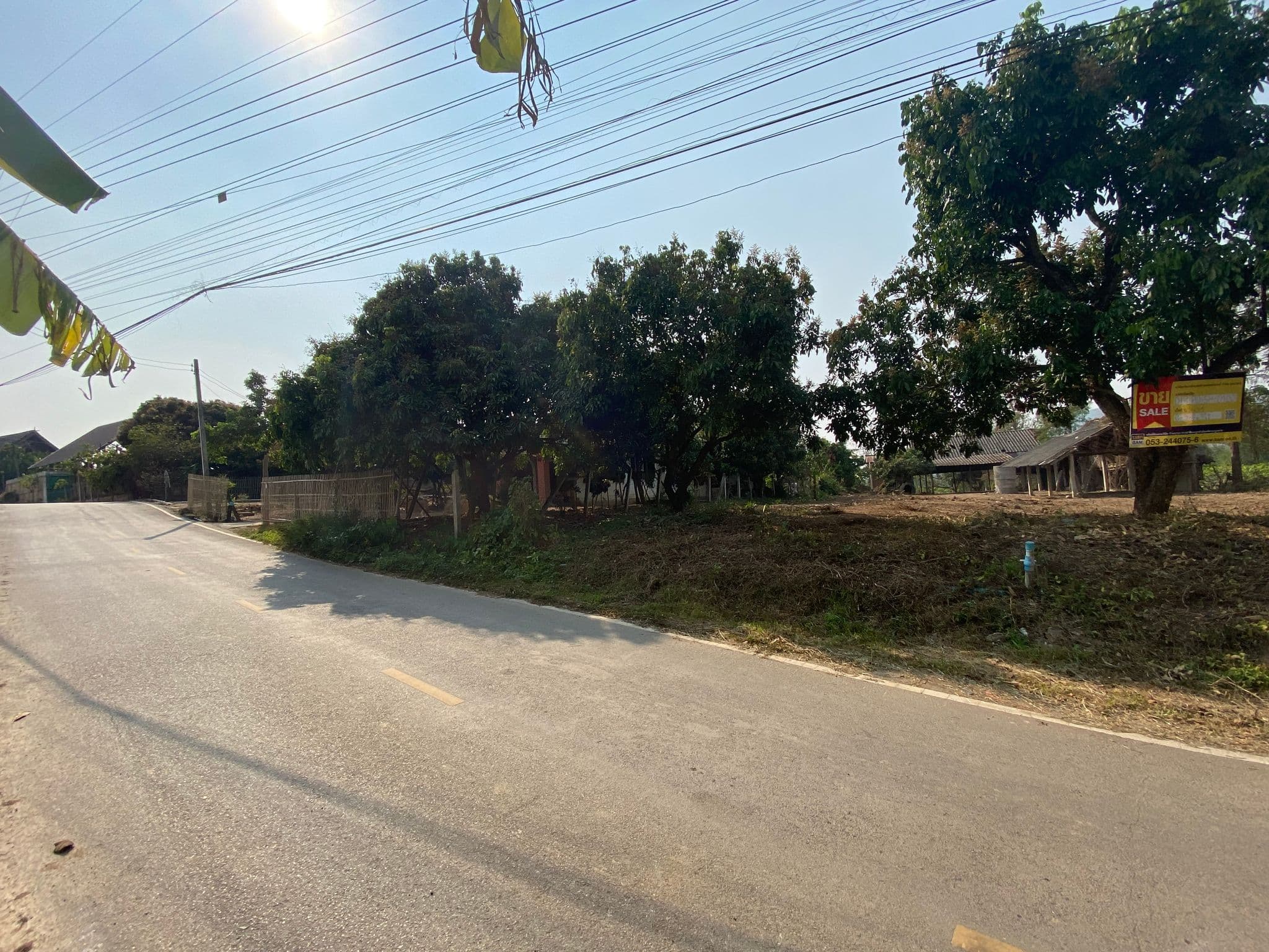 IMG_5739.JPG