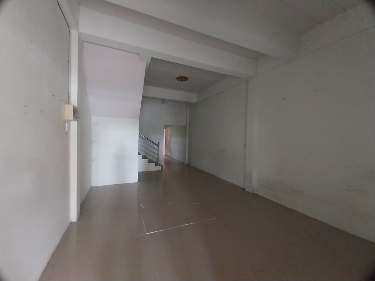 156.jpg