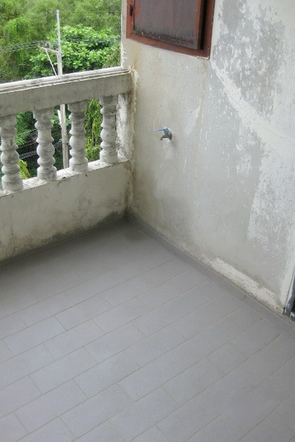 S__55820328.jpg