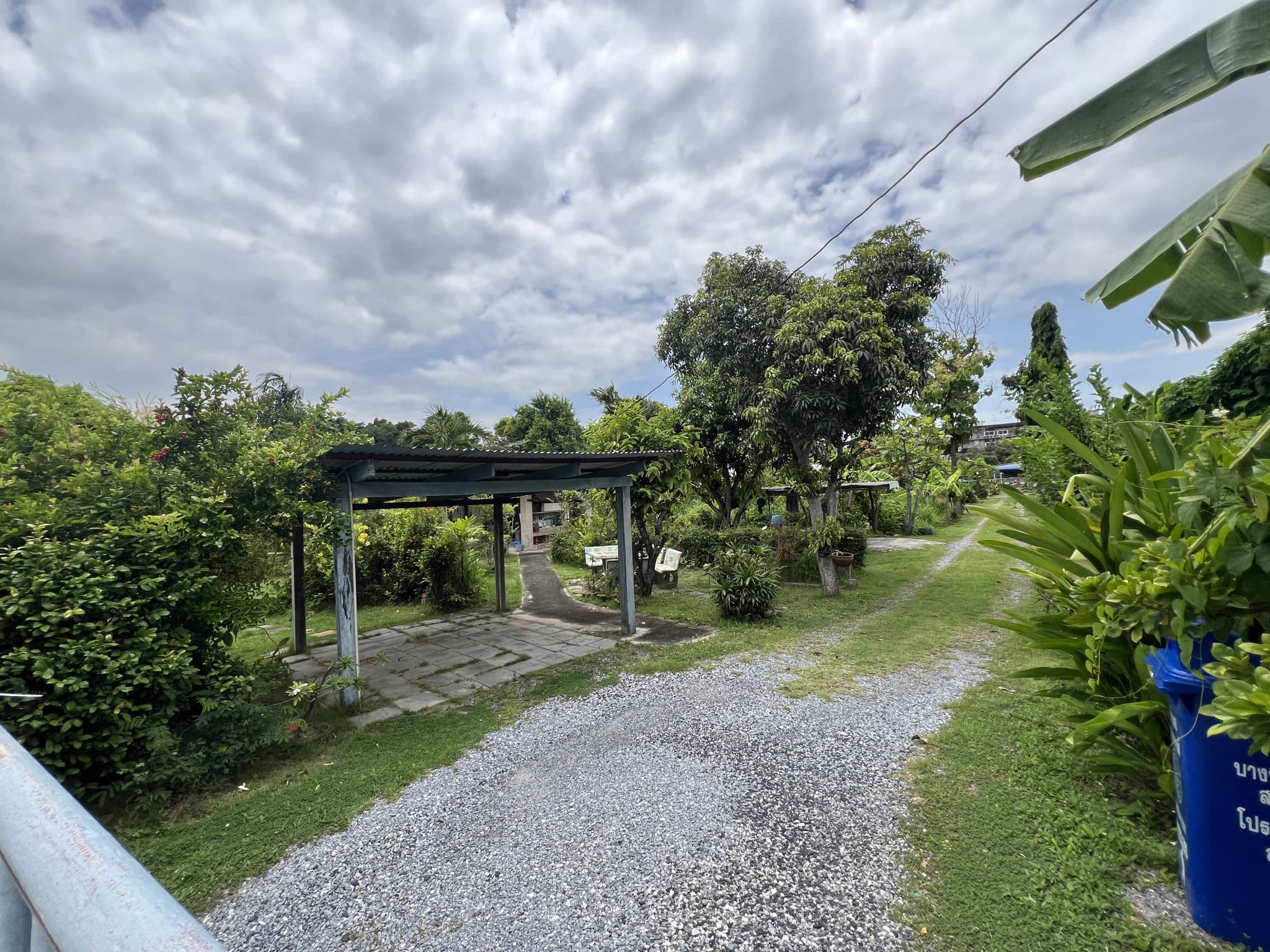 12-7 à¸56141 à¸ªà¸¸à¸à¸²à¸ à¸´à¸à¸²à¸¥ 8 (4).JPG