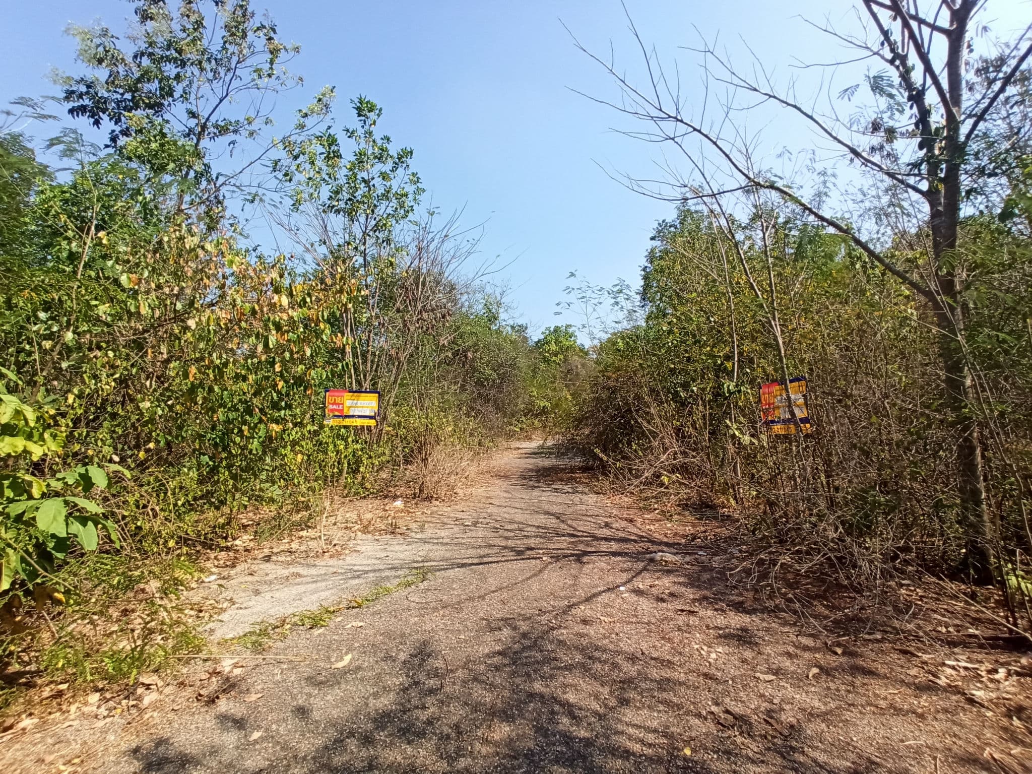 IMG_20240213_110657.jpg