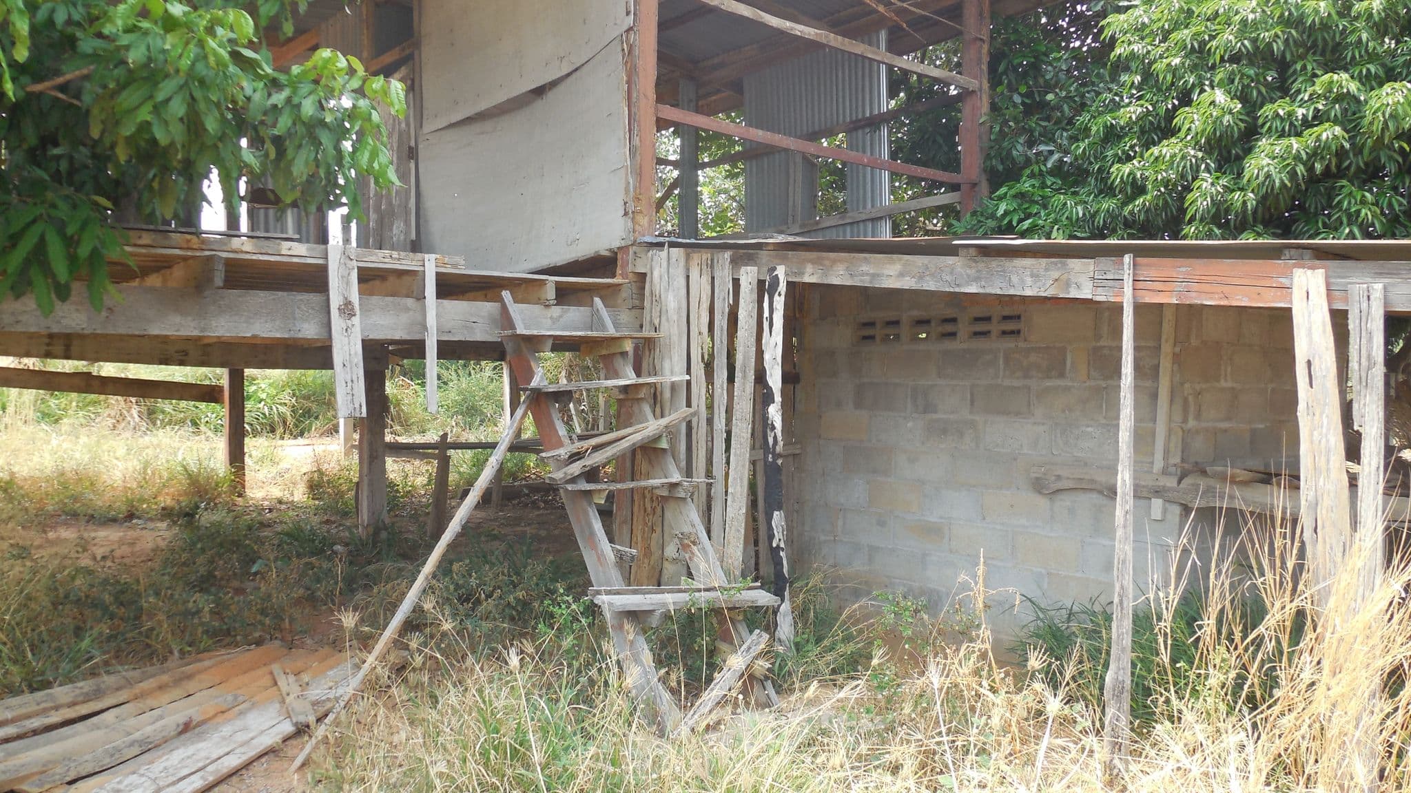 DSCN4125.JPG
