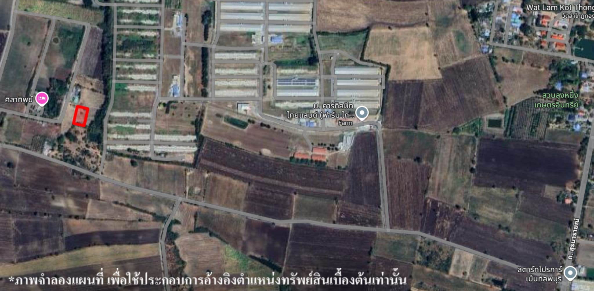 image (41).png