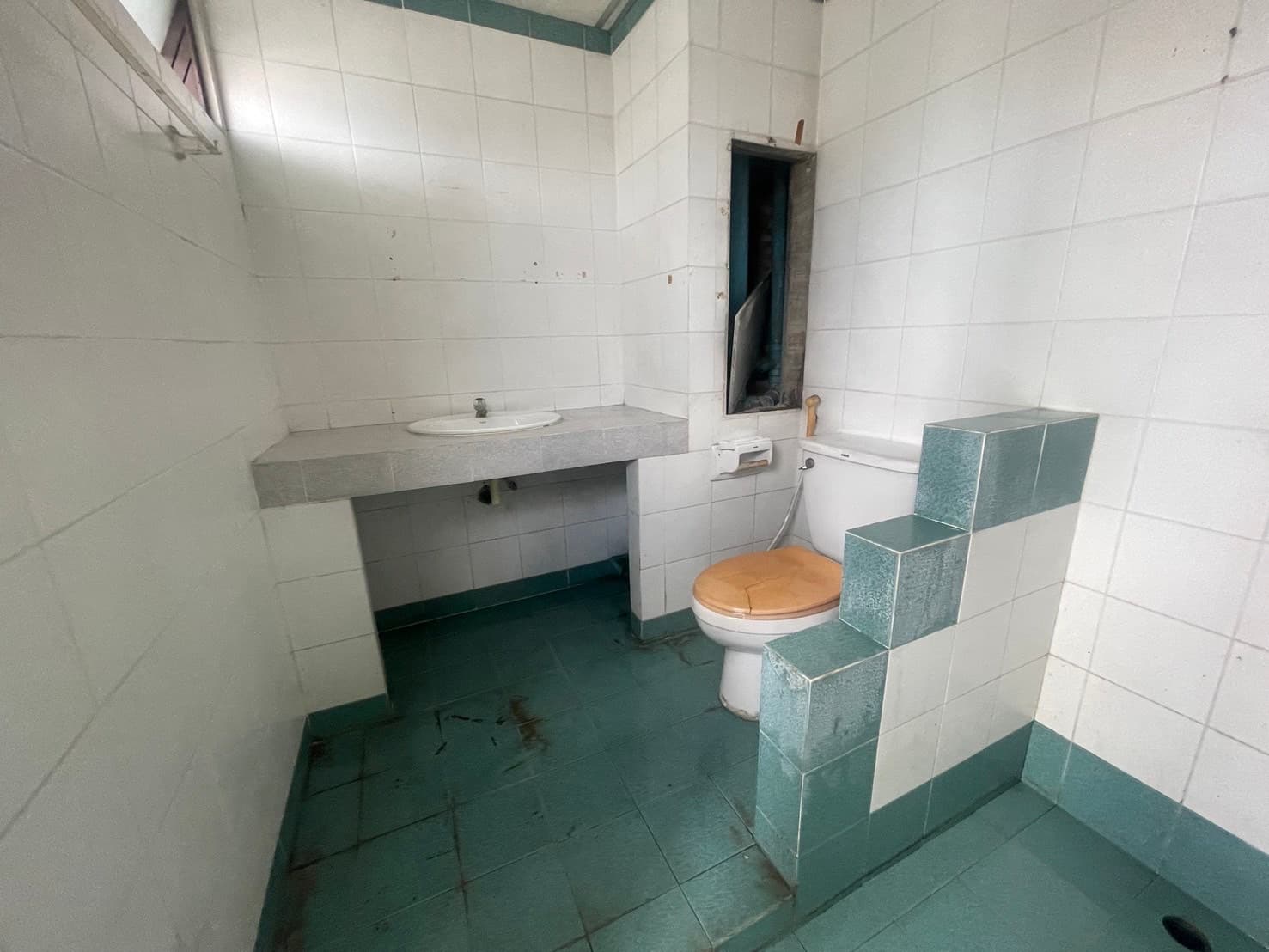 IMG_4744.JPG