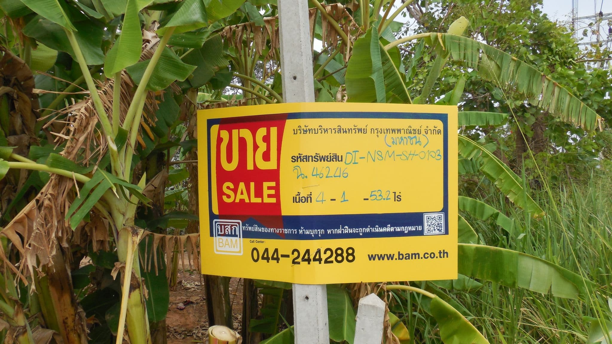 DSCN4138.JPG