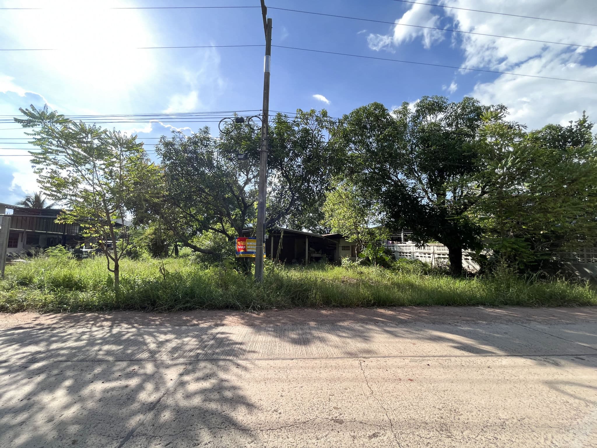 bce9f65f-134943-1.jpg