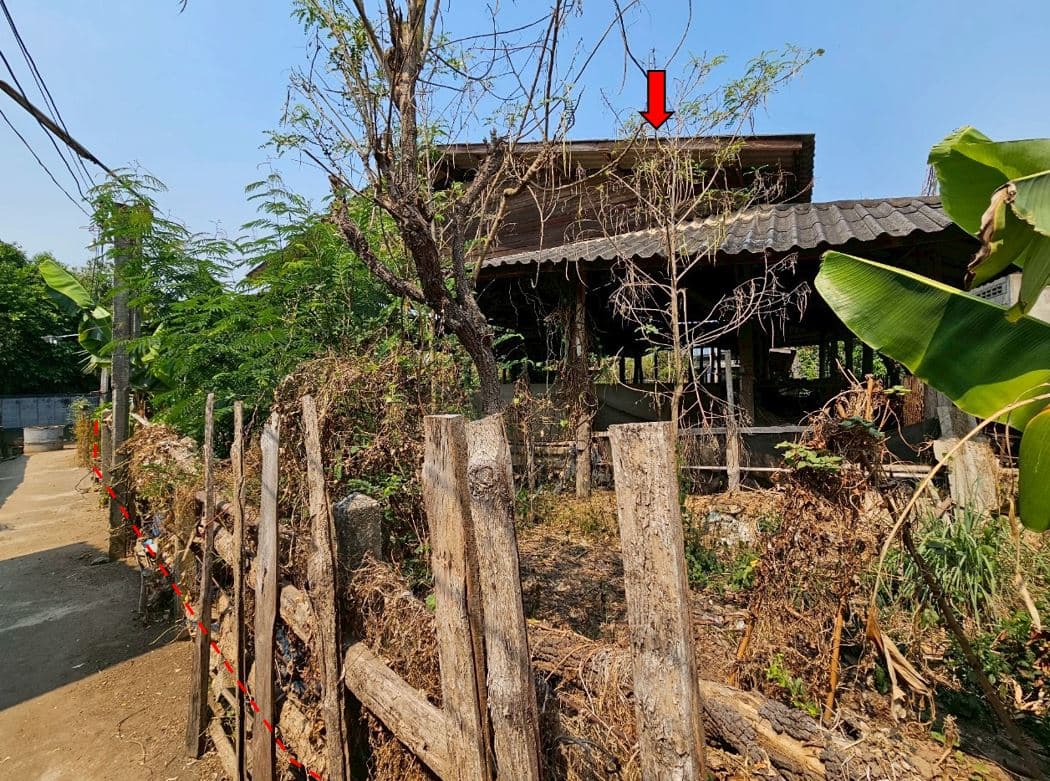 ข้าง.JPG