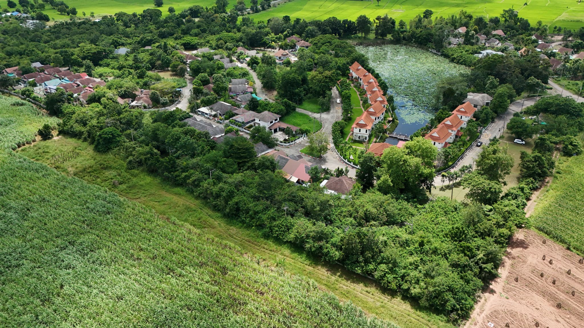 DJI_20251006114509_0110_D.JPG