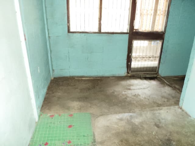 full_20180312110105.jpeg