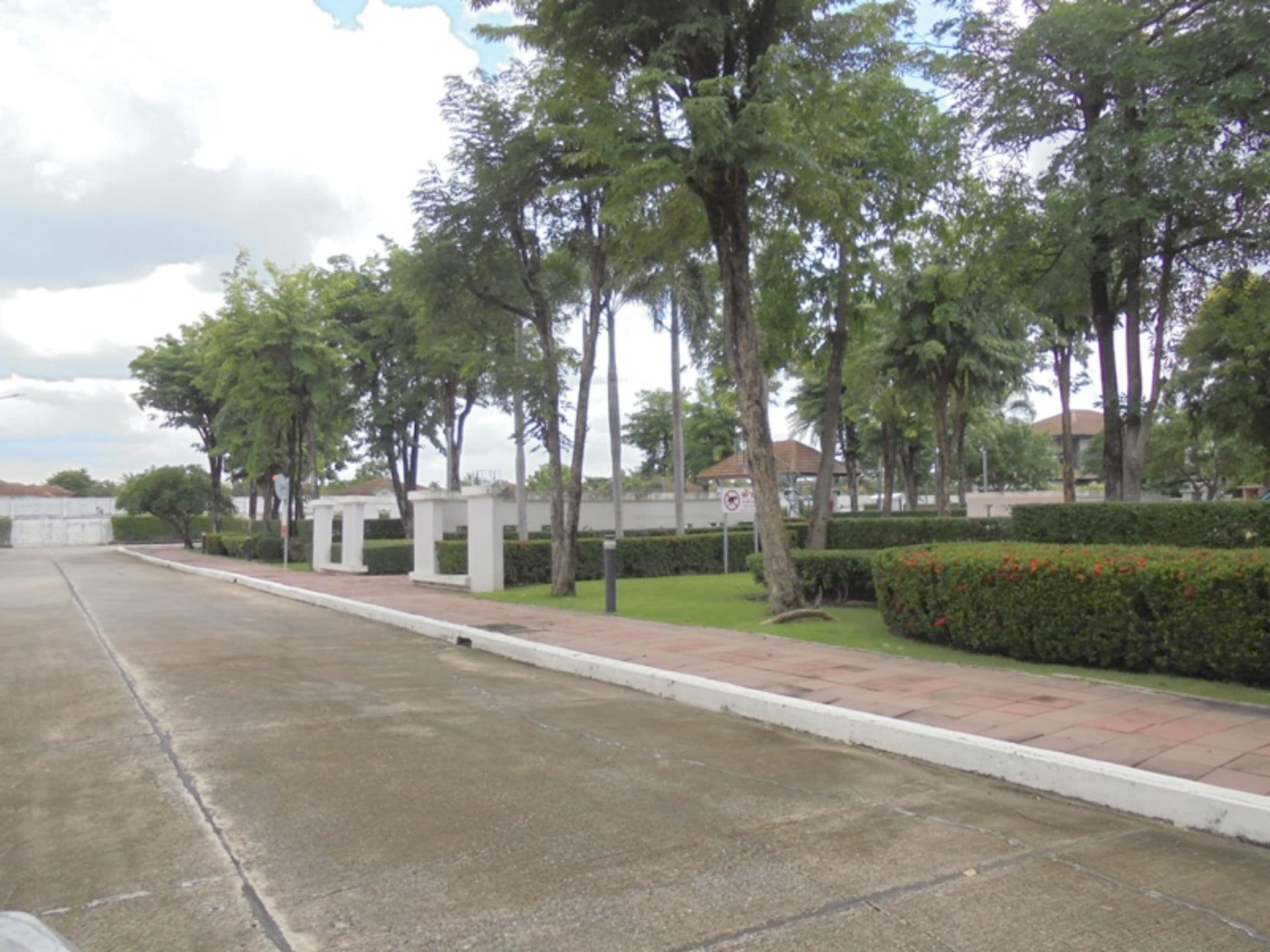 image (20).png