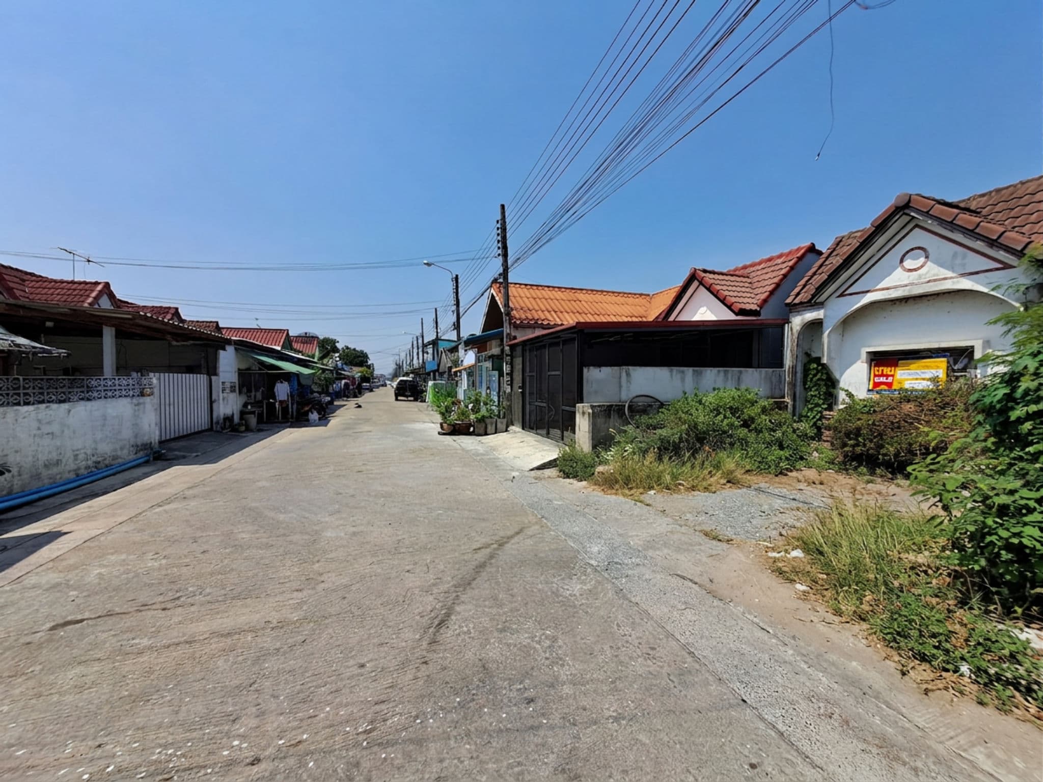 freepik_0005 (3).png