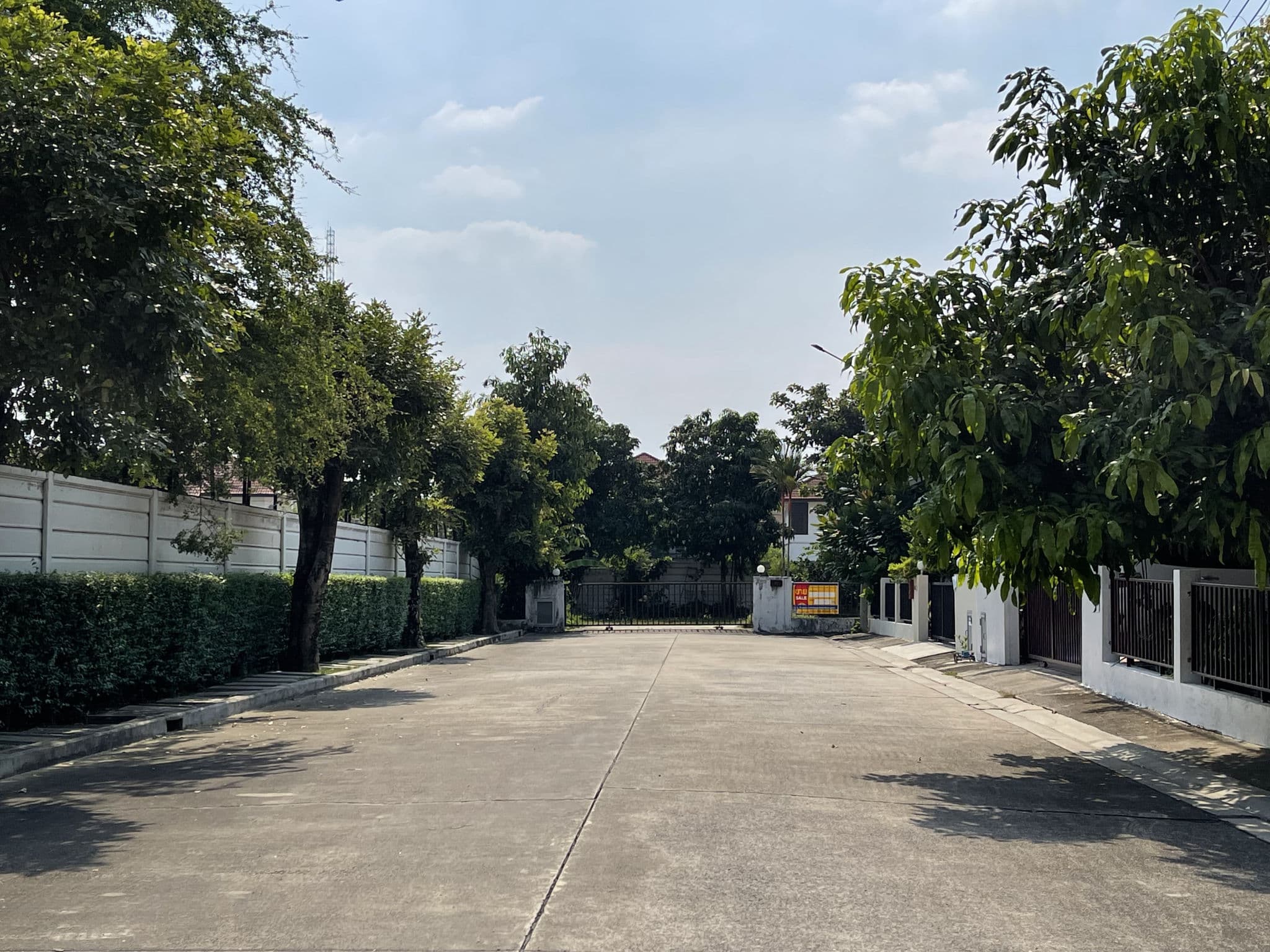 95b5515d-debkksh0273 (25).JPG