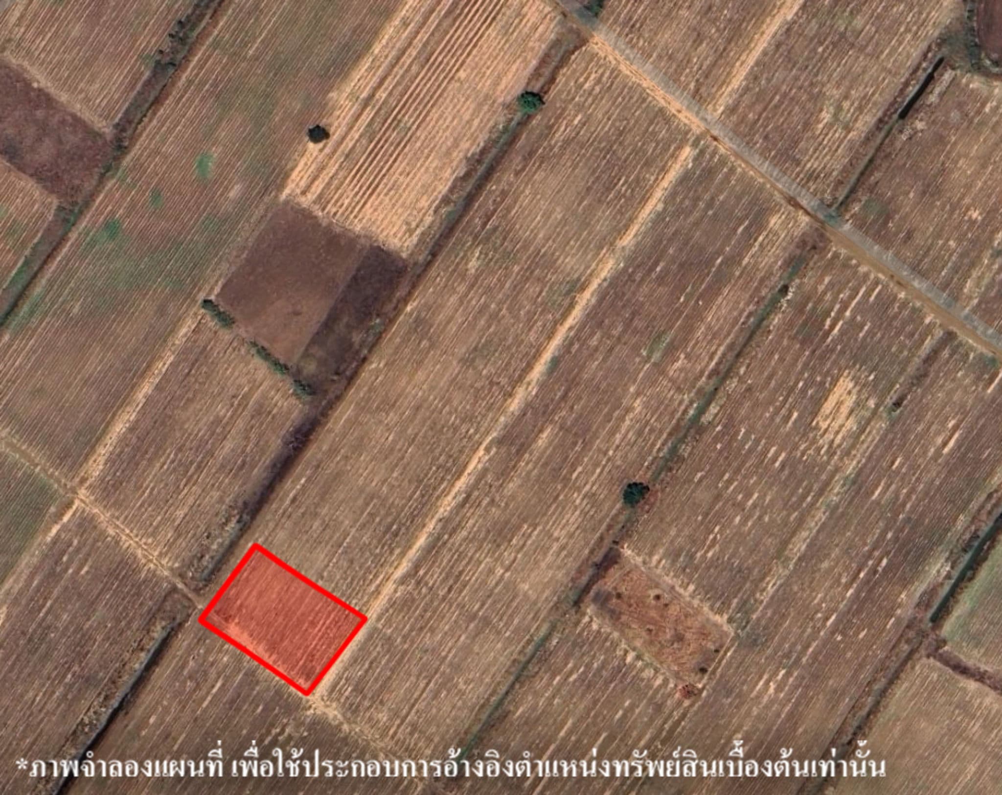 image (395).png